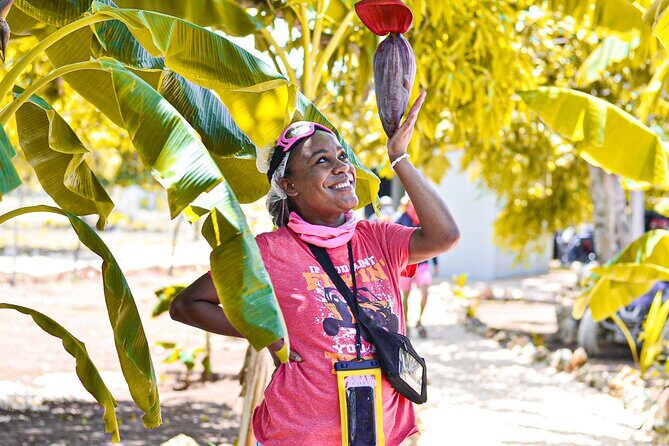 Buggy Tour Punta Cana: MagicalCaves ,Dream Beaches & Culture - Who Should Book This Tour?