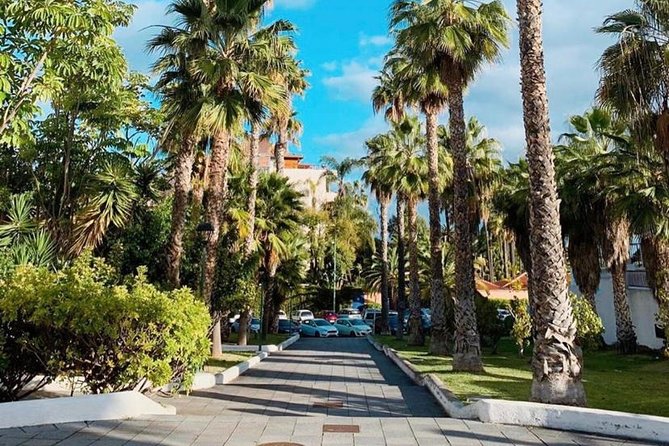 Buggy Tour South Coast of Tenerife With Off-Road - Additional Information