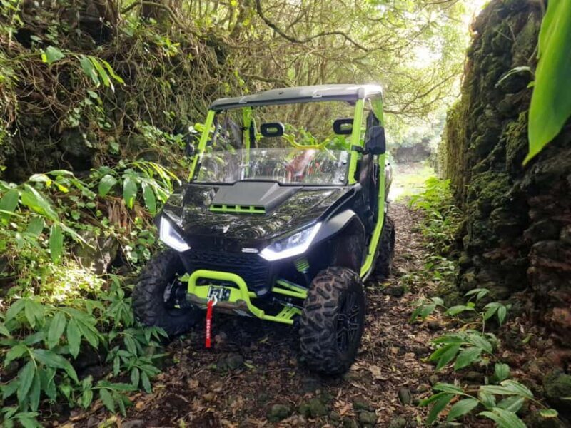 Buggy tour through the vineyards of Pico Island - Who Will Love This Tour?