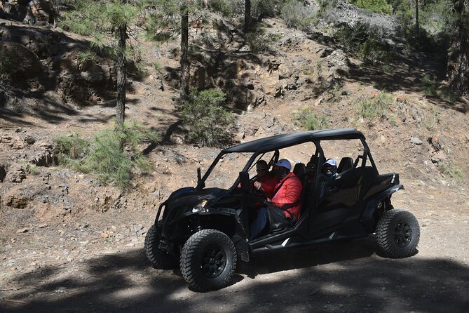 Buggy Tour to Teide in Tenerife - Changes and Cut-off Times