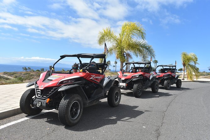 Buggy Tour to Teide in Tenerife - Pickup Information