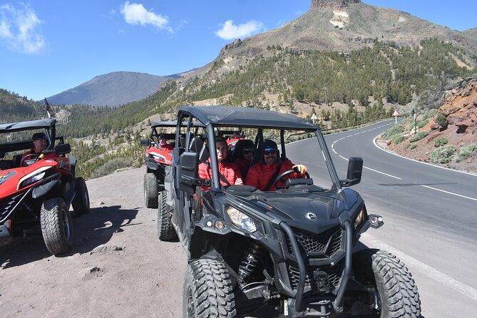 Buggy Tour to Teide in Tenerife - Additional Information