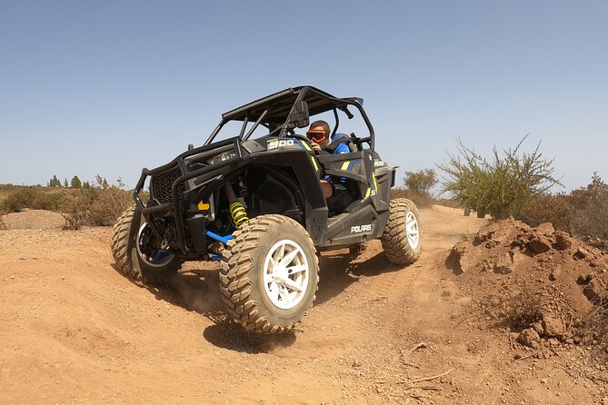 Buggy Tour Volcano TEIDE With Wine Degustation at Canarian Winery - Authentic Reviews and Ratings