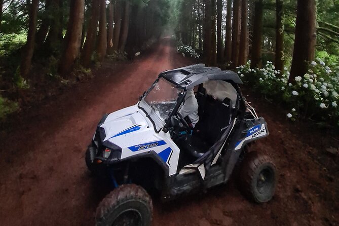 BUGGY TOUR - West / Center of the Island (Off-Road) - Tour Details