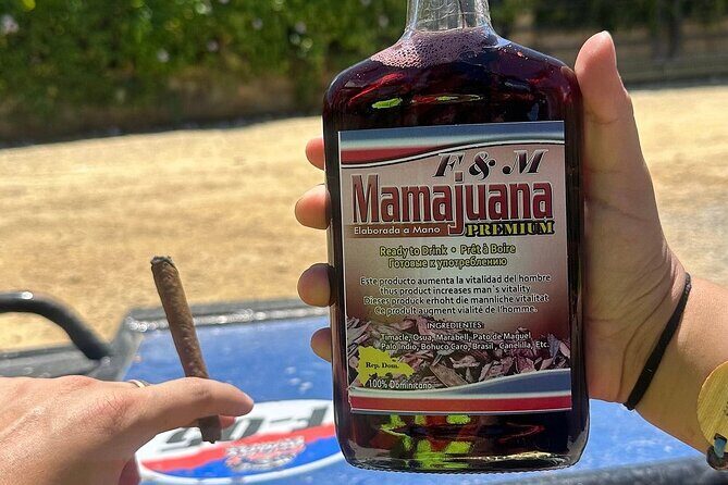 Buggy Tour with Organic Farm, Macao Beach Visit from Punta Cana - A Deep Dive into the Tour Experience