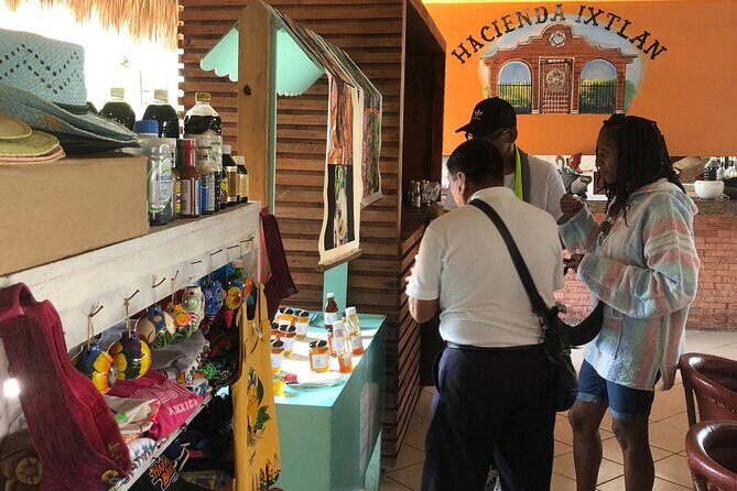 Buggy Trip in Cozumel Island with transfer from Riviera Maya - The Experience in Detail