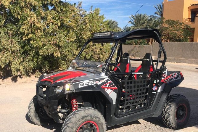 Buggy Trip in Makadi - Booking Information and Flexibility