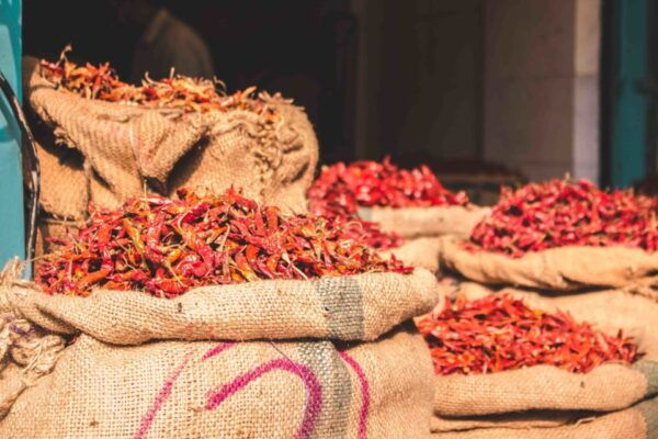 Build Your Own: Custom Private Tour of Delhi With Transfer - Highlights of the Tour and Inclusions