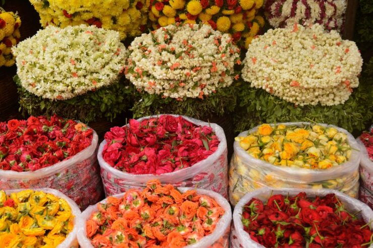 Build Your Own: Custom Private Tour of Kolkata With Transfer - Experience the Freedom of Customization