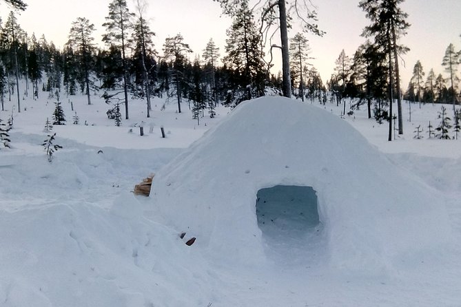 Building a Snow Igloo in Rovaniemi - Pricing and Booking Details