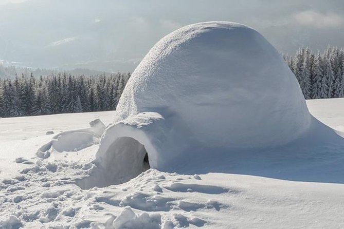 Building a Snow Igloo in Rovaniemi - Date and Traveler Information