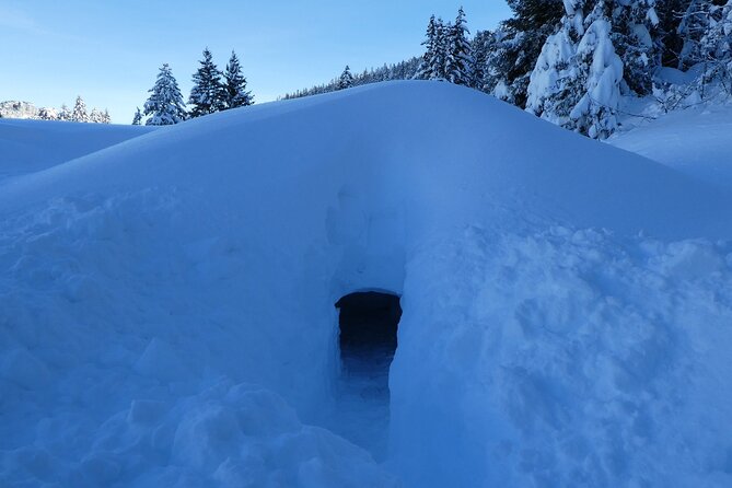 Building an Igloo? a Childs Play! - Reinforcing the Structure