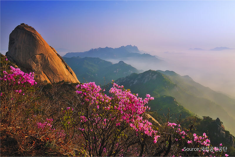 Bukhansan - Hiking Gear Rental Service in Seoul - Make the mountain part of the day