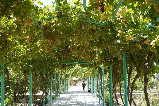 Bukhara Historical Tour - Frequently Asked Questions