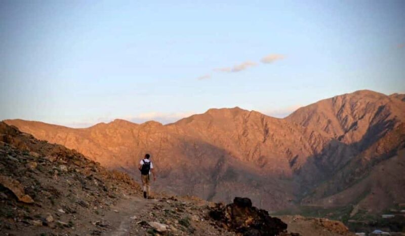 Bukhara/Samarkand: 2-Day Guided Nurata Mount & Desert Tour - Practical Details and Value