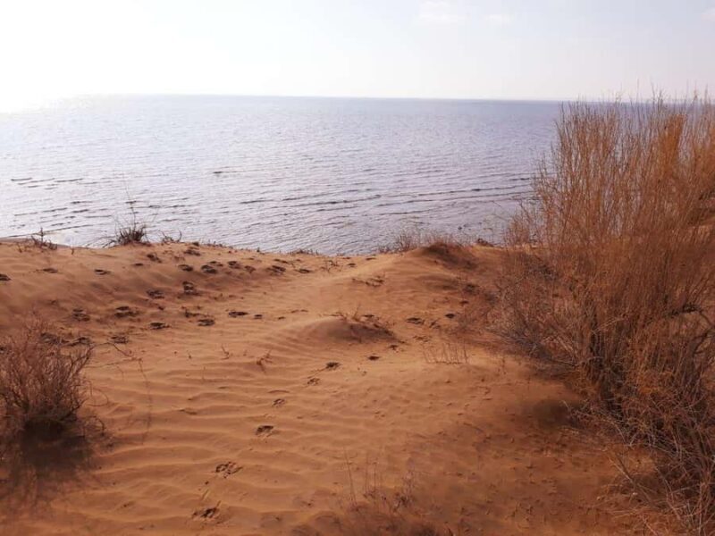 Bukhara/Samarkand: 2-Day Guided Nurata Mount & Desert Tour - The Sum Up