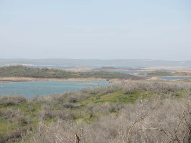 Bukhara/Samarkand: Nurata, Aydarkul Lake & Desert Day Trip - The Sum Up