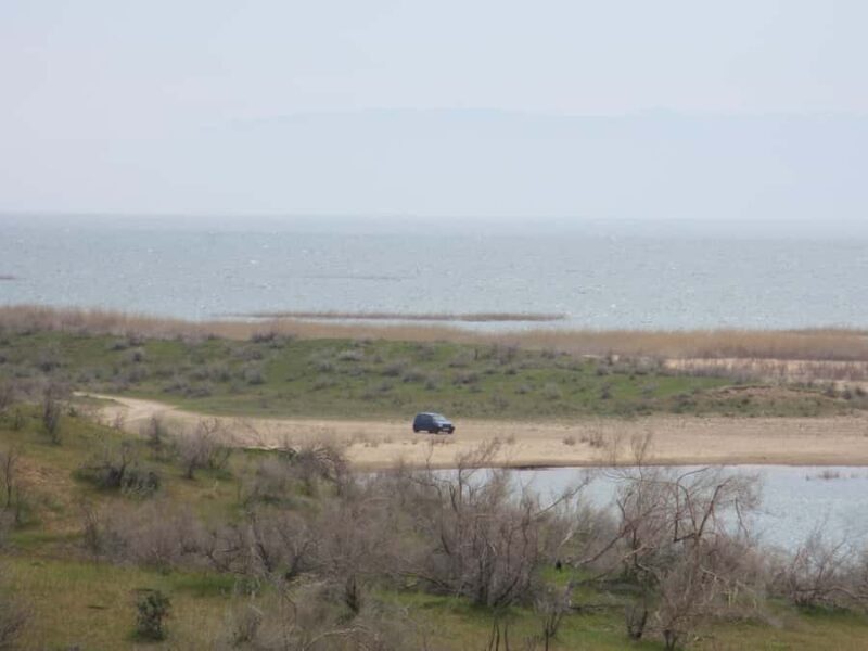 Bukhara/Samarkand: Nurata, Aydarkul Lake & Desert Day Trip - The Sum Up