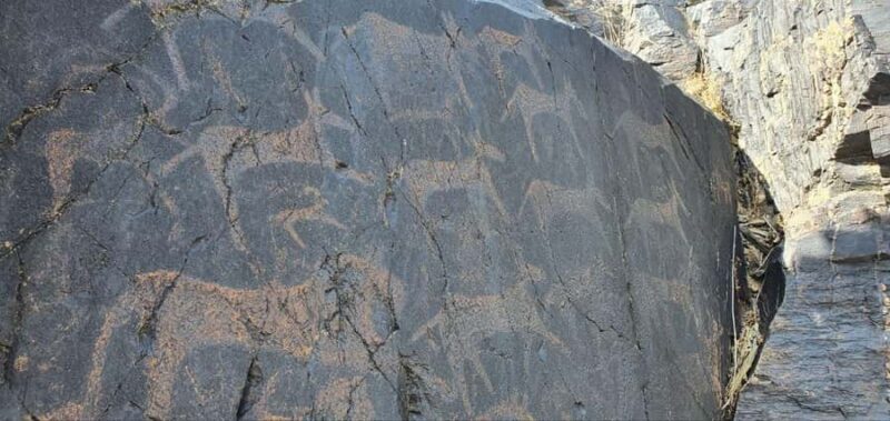 Bukhara: Sarmish-Soy Gorge Petroglyphs Day Trip - An Introduction to the Tour Experience