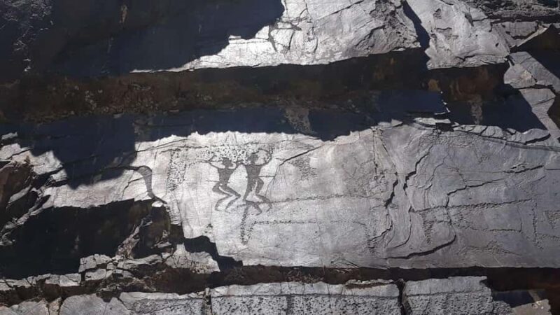 Bukhara: Sarmish-Soy Gorge Petroglyphs Day Trip - Who Is This Tour Best For?