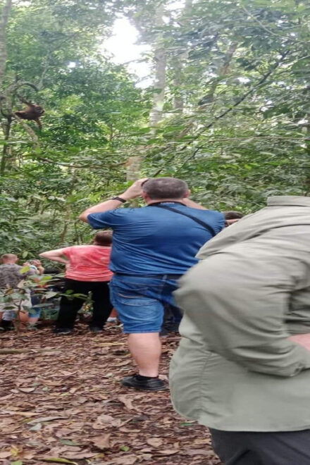 Bukit Lawang: 3-Day Jungle Trek & Overnight Mount Leuser - Important Information for Participants