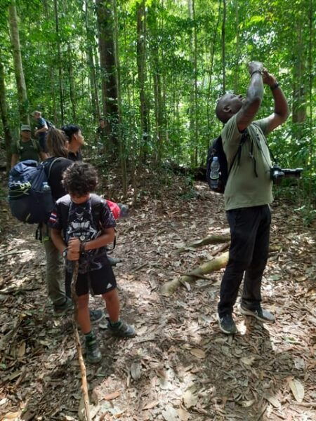 Bukit Lawang: 4-Day Orangutan Jungle Trekking Adventure - Questions You May Have