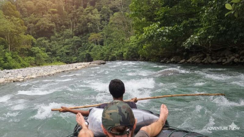 Bukit Lawang: 4-Day Wild Orangutan and Art Trek - Exploring the Itinerary: From Rainforest to River