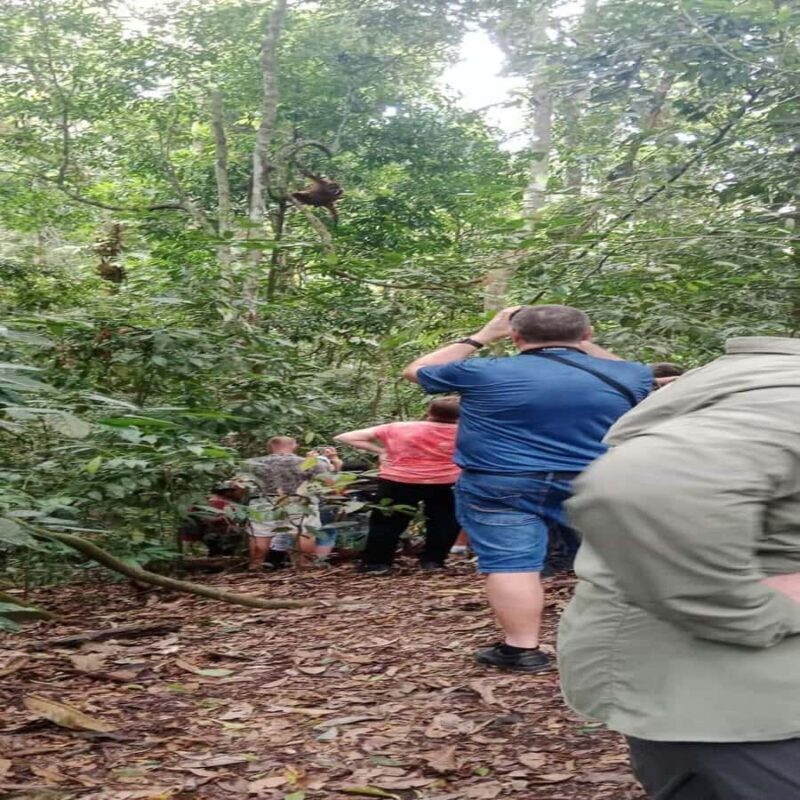 Bukit Lawang: 6-Day Wonderful Jungle Trek & Retreat - The Sum Up