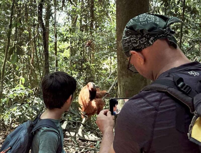 Bukit Lawang: Eco-Friendly Jungle Trek with Orangutans - @Meta Description: This eco-friendly jungle trek in Bukit Lawang offers wildlife sightings, conservation insights, and a responsible approach, perfect for nature lovers and eco-conscious travelers.
