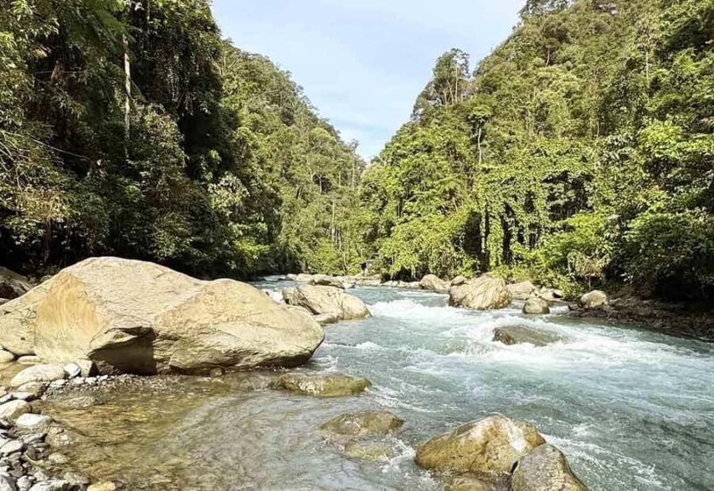 Bukit Lawang: Half Day Ethical Jungle And Eco Friendly Trek - Why This Tour Offers Great Value