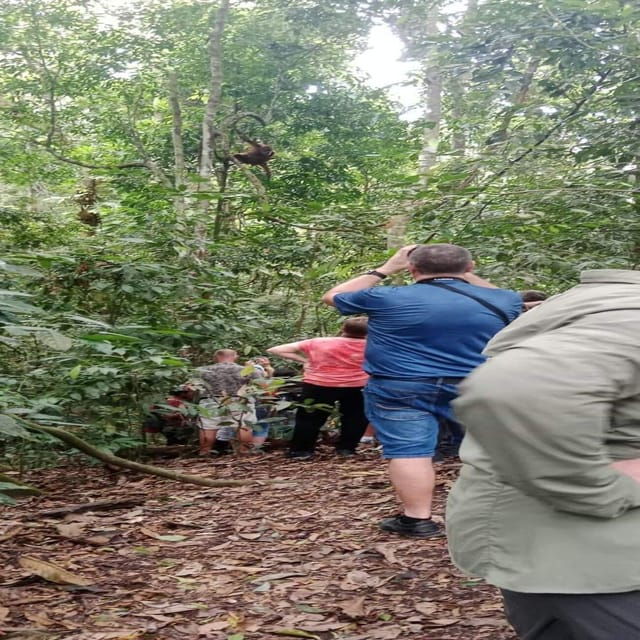 Bukit Lawang: Incredible Wildlife & Magnificent Jungle Trek - Essential Packing List