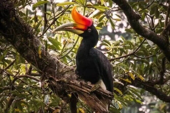 Bukit Lawang Jungle Trek Sumatran Safari - What Sets This Tour Apart