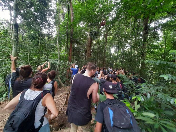 Bukit Lawang: Jungle Trekking and Rafting Day Trip - Itinerary and Experience