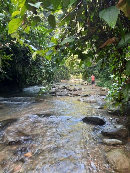 Bukit Lawang: Jungle Trekking and Rafting Day Trip - Safety Considerations