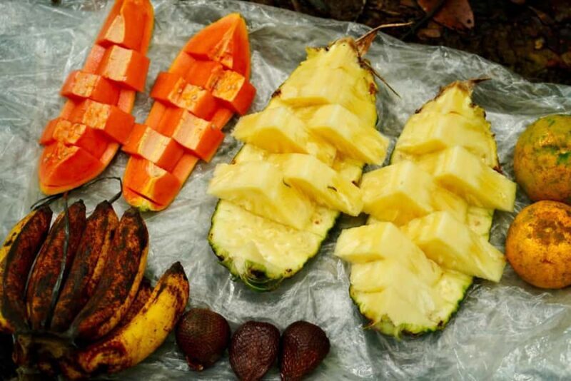 Bukit Lawang: Orangutan Jungle Trekking Tour & Homestay SAMA - FAQs