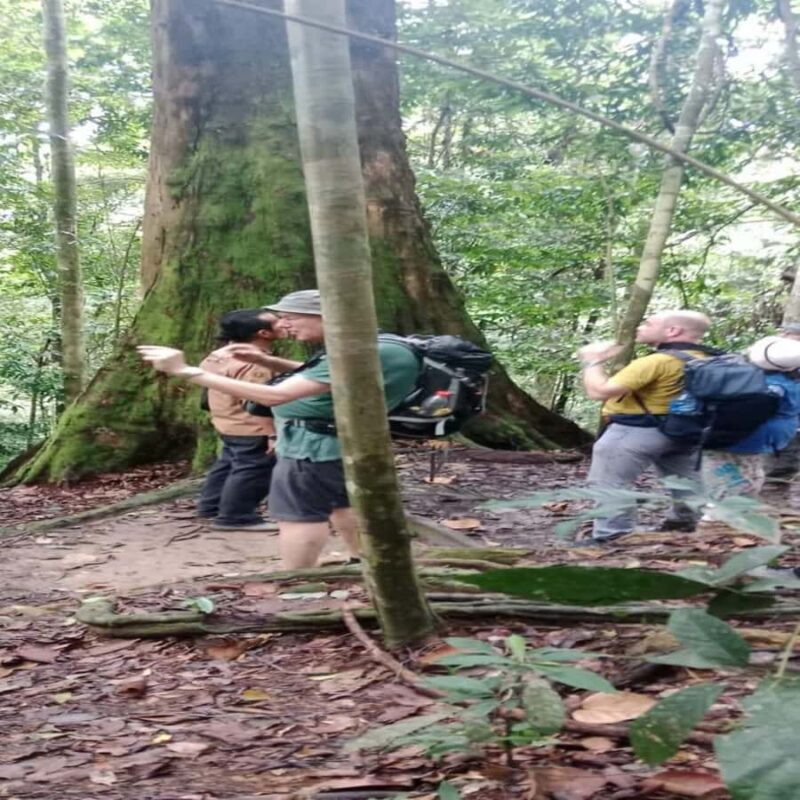 Bukit Lawang: Orangutan Tour & Wonderful Jungle View - Good To Know