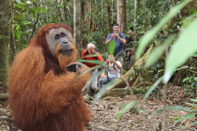 Bukitlawang-Tour 3days-2 Night Jungle Trekking(Including Rafting) - Itinerary Overview