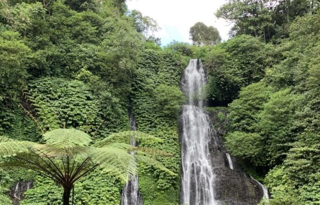 Buleleng Hidden Gems: Waterfall Tour - Participant Guidelines