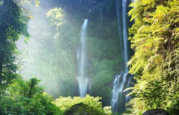 Buleleng Hidden Gems: Waterfall Tour - Questions You May Have