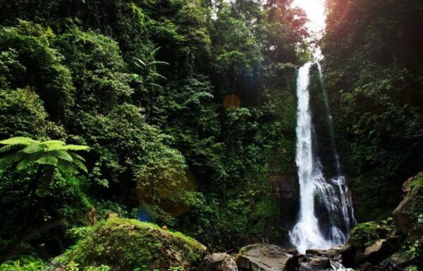Buleleng Hidden Gems: Waterfall Tour - Booking and Cancellation Policy