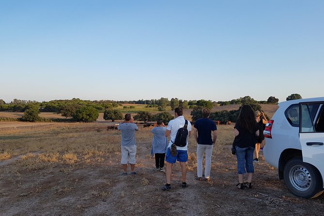 Bull Breeding Farm: Guided Half-Day Tour From Seville - Pickup Information