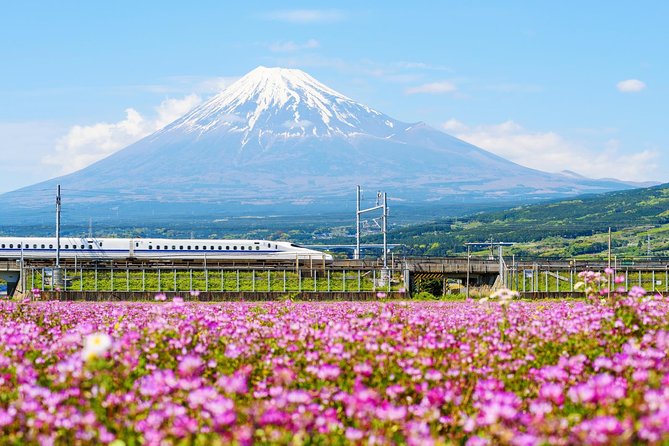 Bullet Train and Mt. Fuji Famous Food Tour - Food and Sake Indulgence