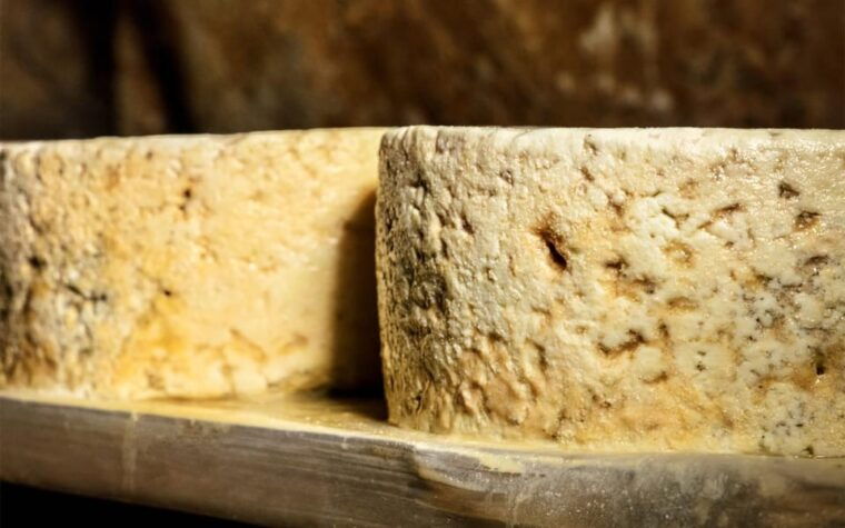 Bulnes: Excursion With Funicular and Cabrales Cheese Cave in Picos De Europa. - Suitability and Recommendations