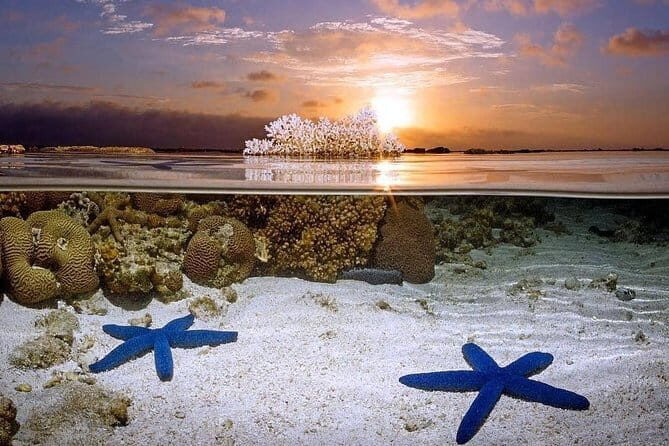 Bunaken Island three-point snorkeling includes lunch and shuttle - The Itinerary: What to Expect