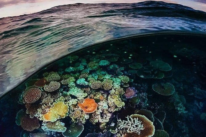 Bunaken Island three-point snorkeling includes lunch and shuttle - The Details of the Bunaken Island Snorkeling Tour