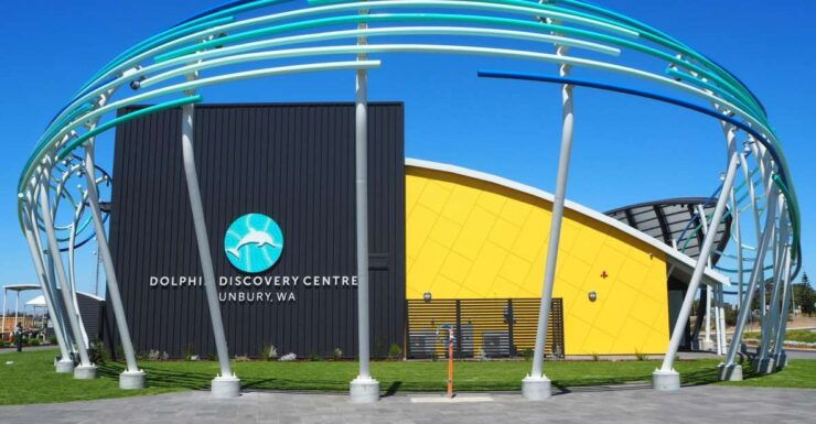 Bunbury: Dolphin Discovery Centre Experience - Experience Highlights