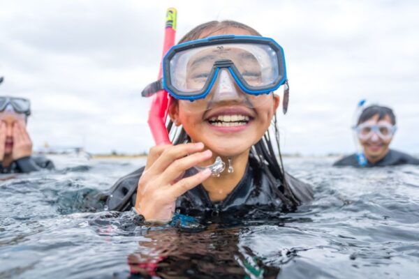 Bunbury: Swim With Dolphins Tour - The Sum Up