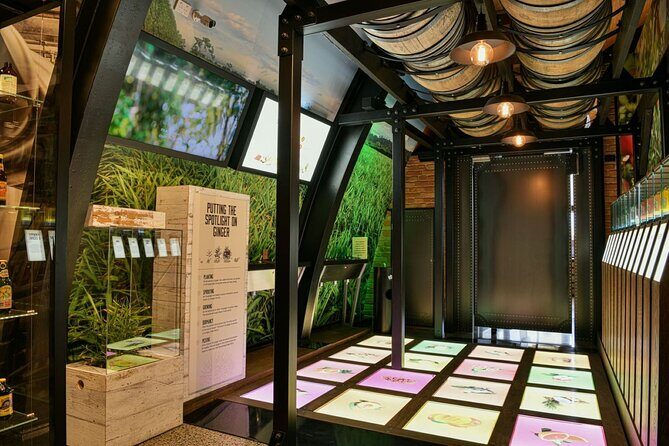 Bundaberg Brewed Drinks Barrel Tasting - Who Is This Tour Best For?