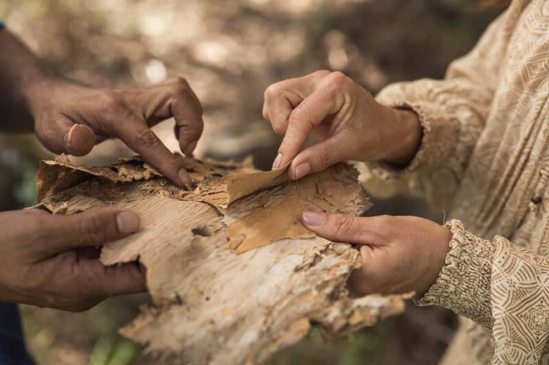Bundaberg: Half Day Indigenous Experience with Morning Tea - FAQs