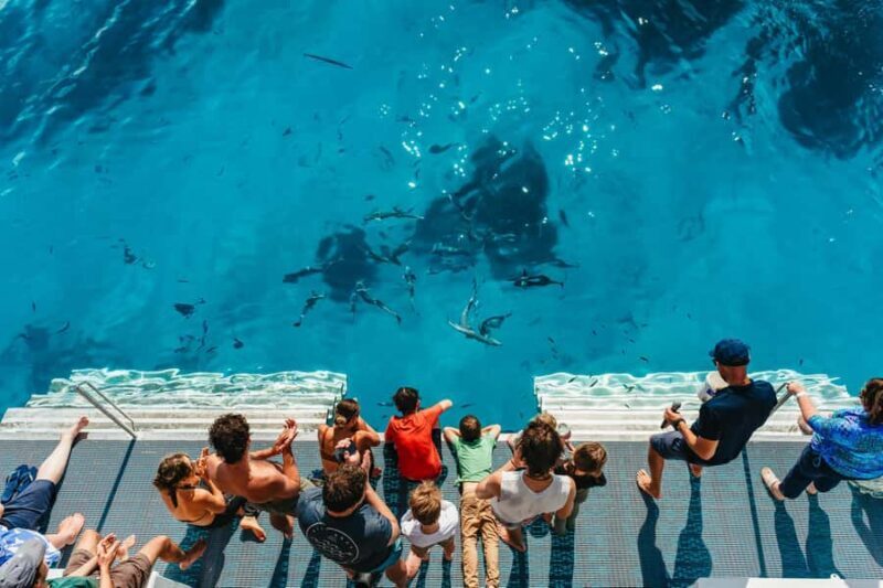 Bundaberg: Lady Musgrave Island and Great Barrier Reef Tour - Starting Point and Transportation: Convenience at its Best